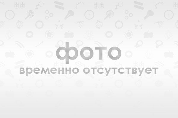 Покрышка 28"х1,75 (40*622), черная, аналог российской Л-183                                                                                                                                                                                               